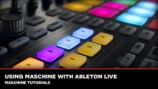 SEM : MASCHINE TUTORIAL 11: Using Maschine in Ableton Live
