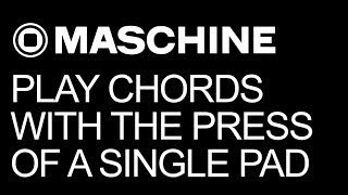 Maschine 2.0 - Playing Chords in Scale - How to Tutorial