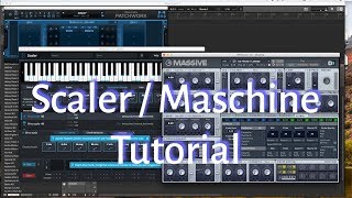[ Scaler Massive Tutorial ] How to Use Scaler in Maschine with Blue Cats Patchwork #1
