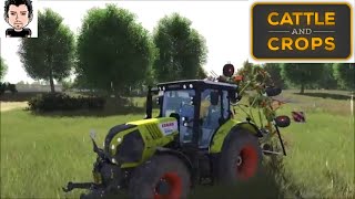 Cattle and Crops 2020 Teil 6 Play Test Heu einfahren